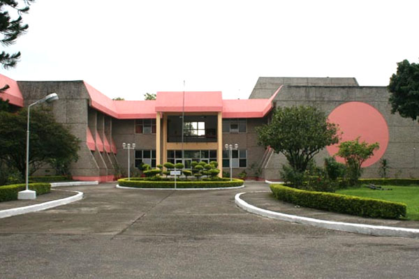 Wadia Institute